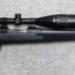 Savage Model 10 .223 With Scope