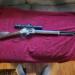 Henry Golden Boy 45/70 with scope and ammo